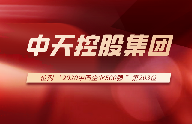 AG公司集团列2020中国企业500强第203位！